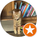 Donna Hebert profile picture
